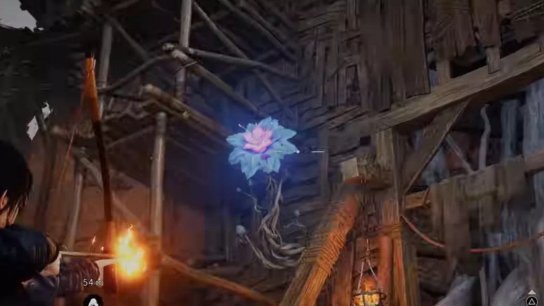 Giftblüten mit Feuerpfeilen verbrennen