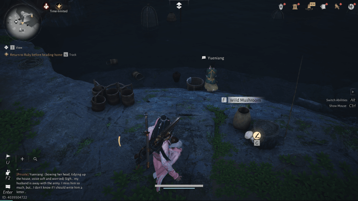 Yueniang NPC portrait in Where Winds Meet