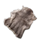 Bear Pelt