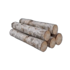 Birch Wood